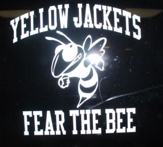 yellow-jackets-fear-the-bee